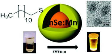 Graphical abstract: A facile synthesis of alloyed Mn-doped ZnSeS nanoparticles using a modified selenium/sulfur precursor in a one-pot approach