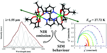 Graphical abstract: Structure, luminescence and magnetic properties of an erbium(iii) β-diketonate homodinuclear complex