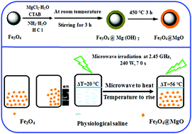 Graphical abstract: A simple approach for the synthesis of bi-functional Fe3O4@MgO core–shell nanoparticles with magnetic-microwave to heat responsive properties
