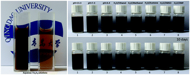 Graphical abstract: Highly stable water-soluble magnetic nanoparticles synthesized through combined co-precipitation, surface-modification, and decomposition of a hybrid hydrogel