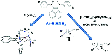 Graphical abstract: Novel yttrium and zirconium catalysts featuring reduced Ar-BIANH2 ligands for olefin hydroamination (Ar-BIANH2 = bis-arylaminoacenaphthylene)