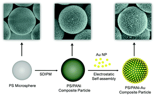 Graphical abstract: Functional polyaniline-assisted decoration of polystyrene microspheres with noble metal nanoparticles and their enhanced catalytic properties