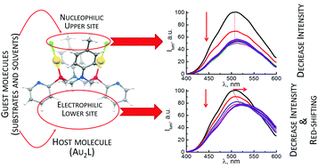 Graphical abstract: “Host–guest” binding of a luminescent dinuclear Au(i) complex based on cyclic diphosphine with organic substrates as a reason for luminescence tuneability