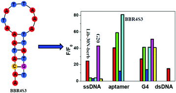 Graphical abstract: Selection and analysis of DNA aptamers to berberine to develop a label-free light-up fluorescent probe