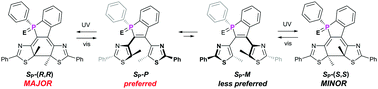 Graphical abstract: Stereoselective photoreaction in P-stereogenic dithiazolylbenzo[b]phosphole chalcogenides
