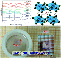 Graphical abstract: Growth of centimeter-sized [(CH3)2NH2][Mn(HCOO)3] hybrid formate perovskite single crystals and Raman evidence of pressure-induced phase transitions