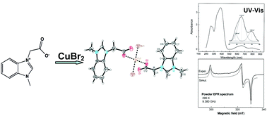 Graphical abstract: Crystal structure and physical properties of 1-methyl-3-(carboxymethyl)benzimidazolium betaine·CuBr2 in crystal and water solution