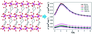 Graphical abstract: Linking cobalt–water chains with cis-1,4-cyclohexanedicarboxylate bridges to form a 2D network exhibiting spin-canted antiferromagnetism