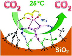 Graphical abstract: A bio-inspired zinc finger analogue anchored in 2D hexagonal mesoporous silica for room temperature CO2 activation via a hydrogenocarbonate route