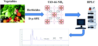 Graphical abstract: Determination of chlorophenoxy acid herbicides by using a zirconium-based metal–organic framework as special sorbent for dispersive micro-solid-phase extraction and high-performance liquid chromatography