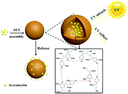 Graphical abstract: Preparation of avermectin microcapsules with anti-photodegradation and slow-release by the assembly of lignin derivatives