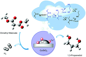 Graphical abstract: Hydrogenation of dimethyl malonate to 1,3-propanediol catalyzed by a Cu/SiO2 catalyst: the reaction network and the effect of Cu+/Cu0 on selectivity