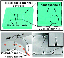 Graphical abstract: Mixed-scale channel networks including Kingfisher-beak-shaped 3D microfunnels for efficient single particle entrapment