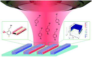 Graphical abstract: Plasmon-mediated chemical surface functionalization at the nanoscale