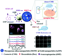 Graphical abstract: Intelligent Janus nanoparticles for intracellular real-time monitoring of dual drug release