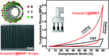 Graphical abstract: Coaxial carbon@boron nitride nanotube arrays with enhanced thermal stability and compressive mechanical properties