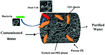 Graphical abstract: Unimpeded permeation of water through biocidal graphene oxide sheets anchored on to 3D porous polyolefinic membranes