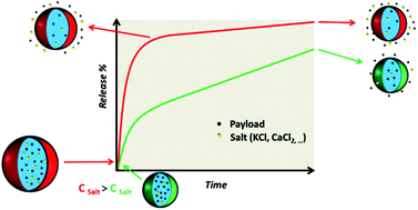 Graphical abstract: Osmotic pressure-dependent release profiles of payloads from nanocontainers by co-encapsulation of simple salts