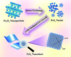Graphical abstract: Seeded preparation of ultrathin FeS2 nanosheets from Fe3O4 nanoparticles