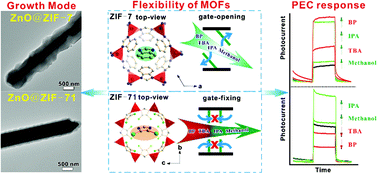 Graphical abstract: Probing the structural flexibility of MOFs by constructing metal oxide@MOF-based heterostructures for size-selective photoelectrochemical response