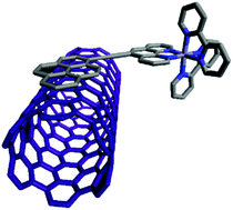 Graphical abstract: Carbon nanotubes dispersed in aqueous solution by ruthenium(ii) polypyridyl complexes