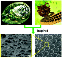 Graphical abstract: Strengthening of polymer ordered porous materials based on a layered nanocomposite internal structure
