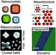Graphical abstract: Tuning the structure and habit of iron oxide mesocrystals