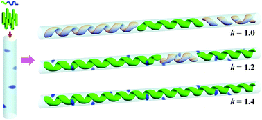 Graphical abstract: Chiral selection of single helix formed by diblock copolymers confined in nanopores
