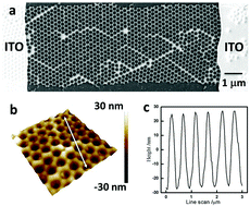 Graphical abstract: A field effect glucose sensor with a nanostructured amorphous In–Ga–Zn–O network