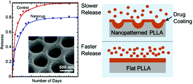 Graphical abstract: Nanoscale patterning of biopolymers for functional biosurfaces and controlled drug release