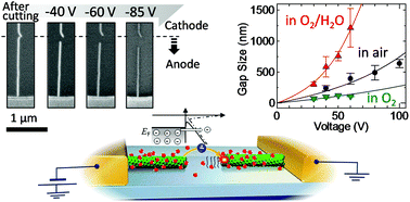 Graphical abstract: Field emission and anode etching during formation of length-controlled nanogaps in electrical breakdown of horizontally aligned single-walled carbon nanotubes