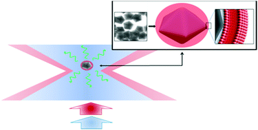 Graphical abstract: Surface-enhanced Raman scattering measurement from a lipid bilayer encapsulating a single decahedral nanoparticle mediated by an optical trap