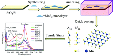 Graphical abstract: Bandgap modulation of MoS2 monolayer by thermal annealing and quick cooling