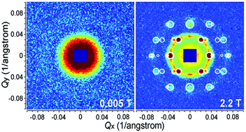 Graphical abstract: Field-induced self-assembly of iron oxide nanoparticles investigated using small-angle neutron scattering