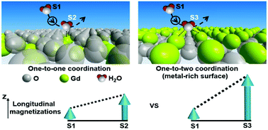 Graphical abstract: Water bridge coordination on the metal-rich facets of Gd2O3 nanoplates confers high T1 relaxivity