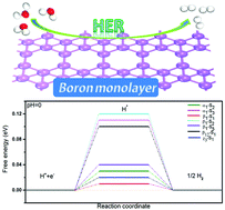 Graphical abstract: High intrinsic catalytic activity of two-dimensional boron monolayers for the hydrogen evolution reaction