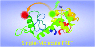 Graphical abstract: Single-molecule fluorescence resonance energy transfer in molecular biology