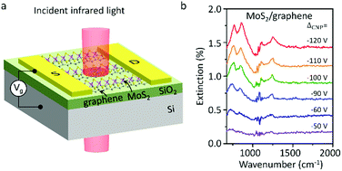 Graphical abstract: Study of graphene plasmons in graphene–MoS2 heterostructures for optoelectronic integrated devices