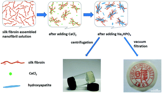 Graphical abstract: Structure and properties of various hybrids fabricated by silk nanofibrils and nanohydroxyapatite