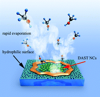 Graphical abstract: DAST single-nanometer crystal preparation using a substrate-supported rapid evaporation crystallization method