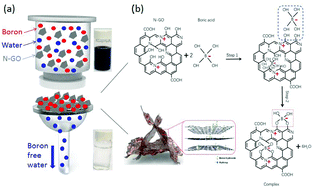 Graphical abstract: Nitrogen-doped graphene oxide for effectively removing boron ions from seawater