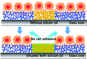 Graphical abstract: Cell micropatterns based on silicone-oil-modified slippery surfaces