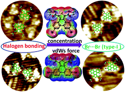 Graphical abstract: Cooperation and competition between halogen bonding and van der Waals forces in supramolecular engineering at the aliphatic hydrocarbon/graphite interface: position and number of bromine group effects