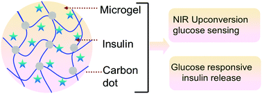 Graphical abstract: NIR upconversion fluorescence glucose sensing and glucose-responsive insulin release of carbon dot-immobilized hybrid microgels at physiological pH