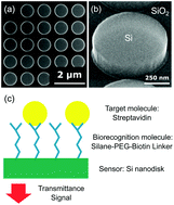 Graphical abstract: Highly sensitive biosensors based on all-dielectric nanoresonators
