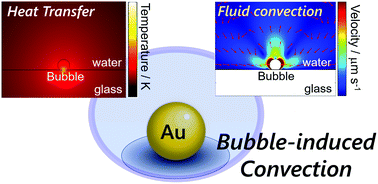 Graphical abstract: Stationary bubble formation and Marangoni convection induced by CW laser heating of a single gold nanoparticle