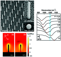 Graphical abstract: Boosting infrared energy transfer in 3D nanoporous gold antennas