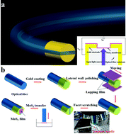 Graphical abstract: Towards an all-in fiber photodetector by directly bonding few-layer molybdenum disulfide to a fiber facet