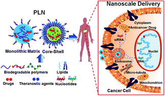 Graphical abstract: Design of nanocarriers for nanoscale drug delivery to enhance cancer treatment using hybrid polymer and lipid building blocks