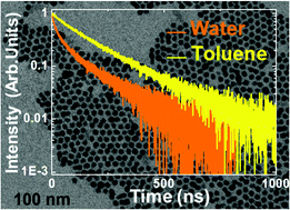 Graphical abstract: Time resolved spectroscopy of infrared emitting Ag2S nanocrystals for subcutaneous thermometry